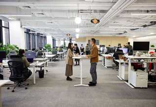 日照高效网带速冻机定制