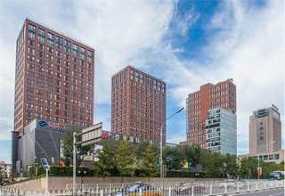 镇江写字楼绿植租赁公司