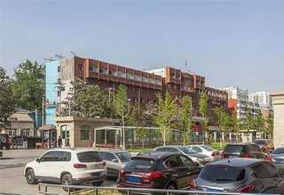 江西手工宠物磨牙零食好选择